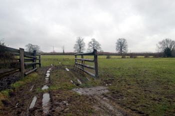 An Eggington field in December 2012